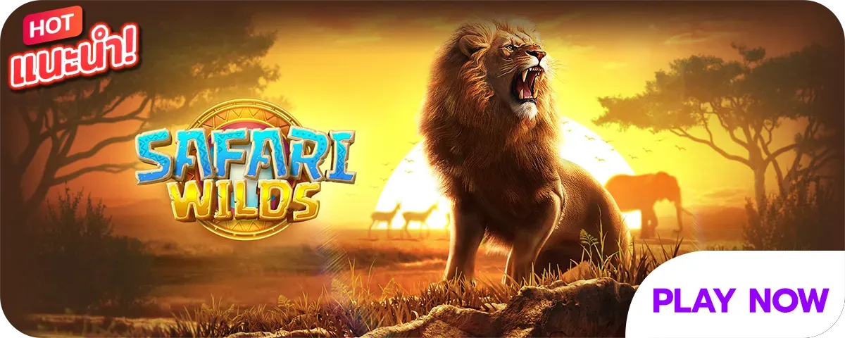 nam889 safariwilds